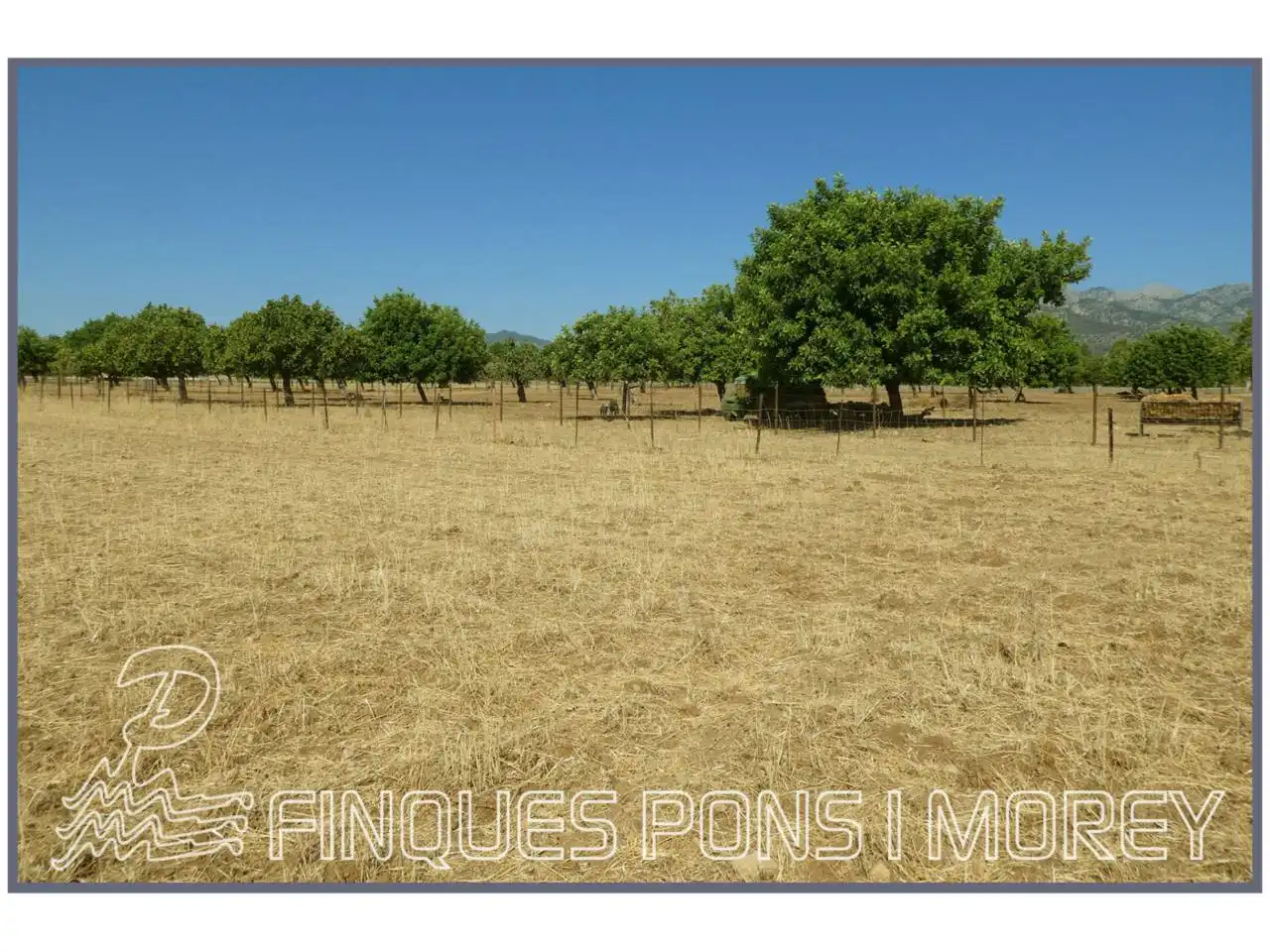 Finca rústica en venda en Campanet