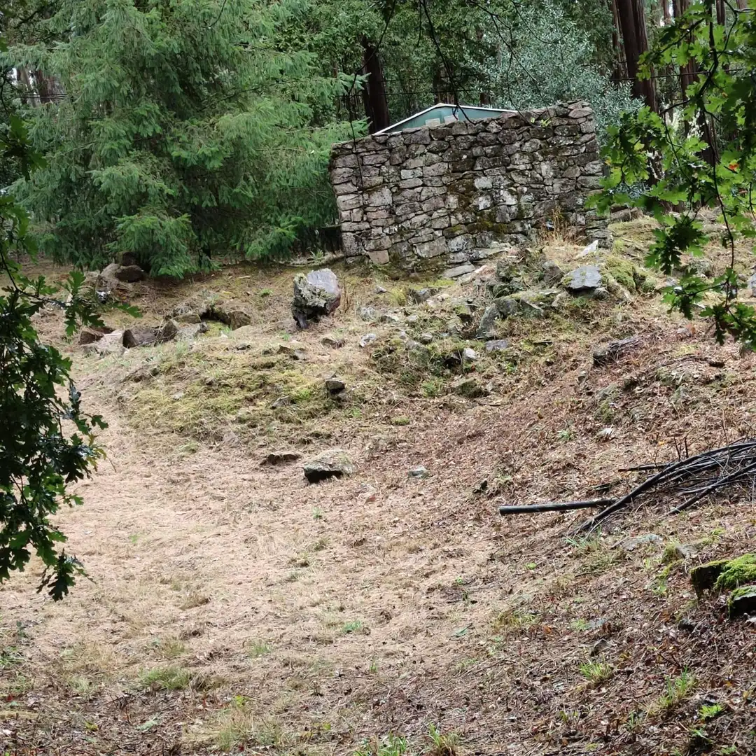 Land for sale in Cotobade