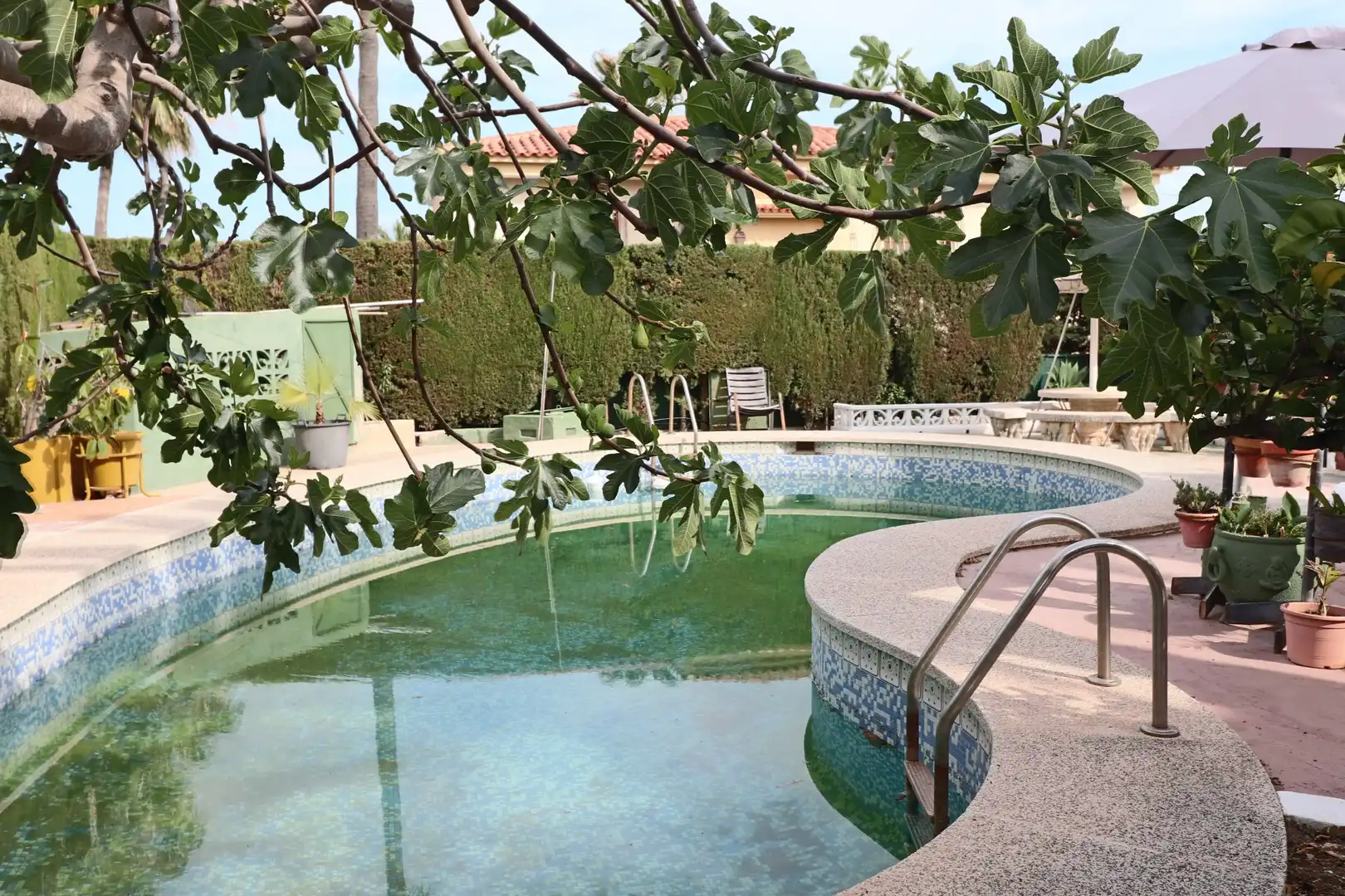 Piscina de Casa o chalet en venta en La Nucia con Terraza