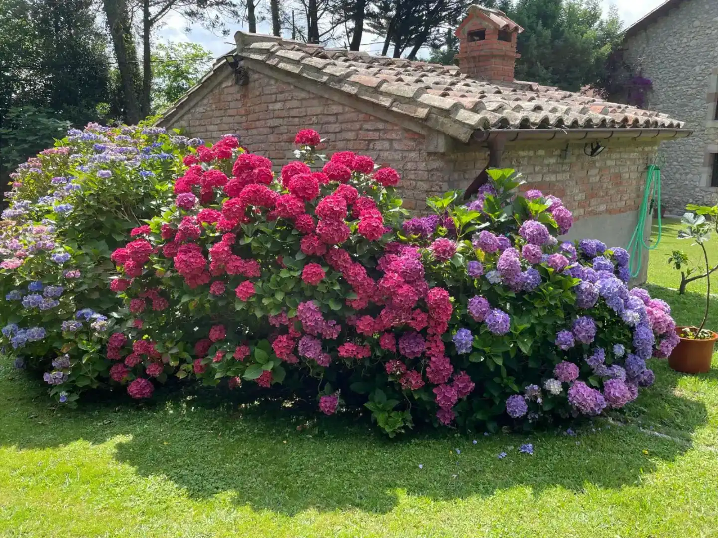 Jardí de Finca rústica en venda en Val de San Vicente  amb Balcó
