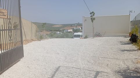 Foto 4 de Finca rústica de alquiler en Jauja, Lucena