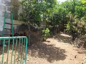Finca rústica en venda en Santa María de Guía de Gran Canaria amb Jardí privat, Terrassa i Traster