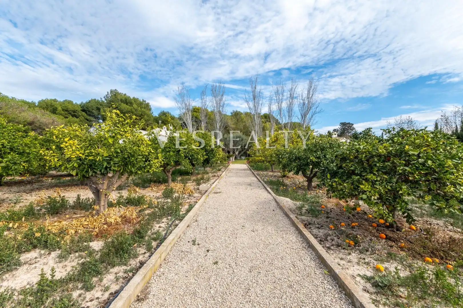 Casa o xalet en venda en Alicante / Alacant amb Calefacció, Jardí privat i Terrassa