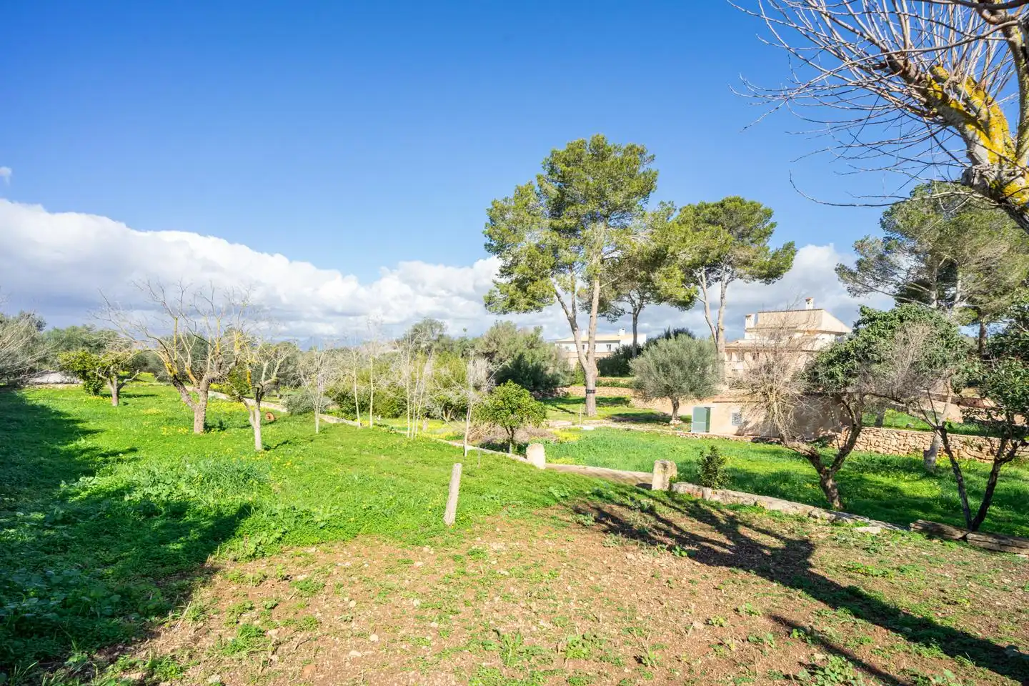 Country house with pool for sale in SEGREGACION RUSTICA, imagen 41