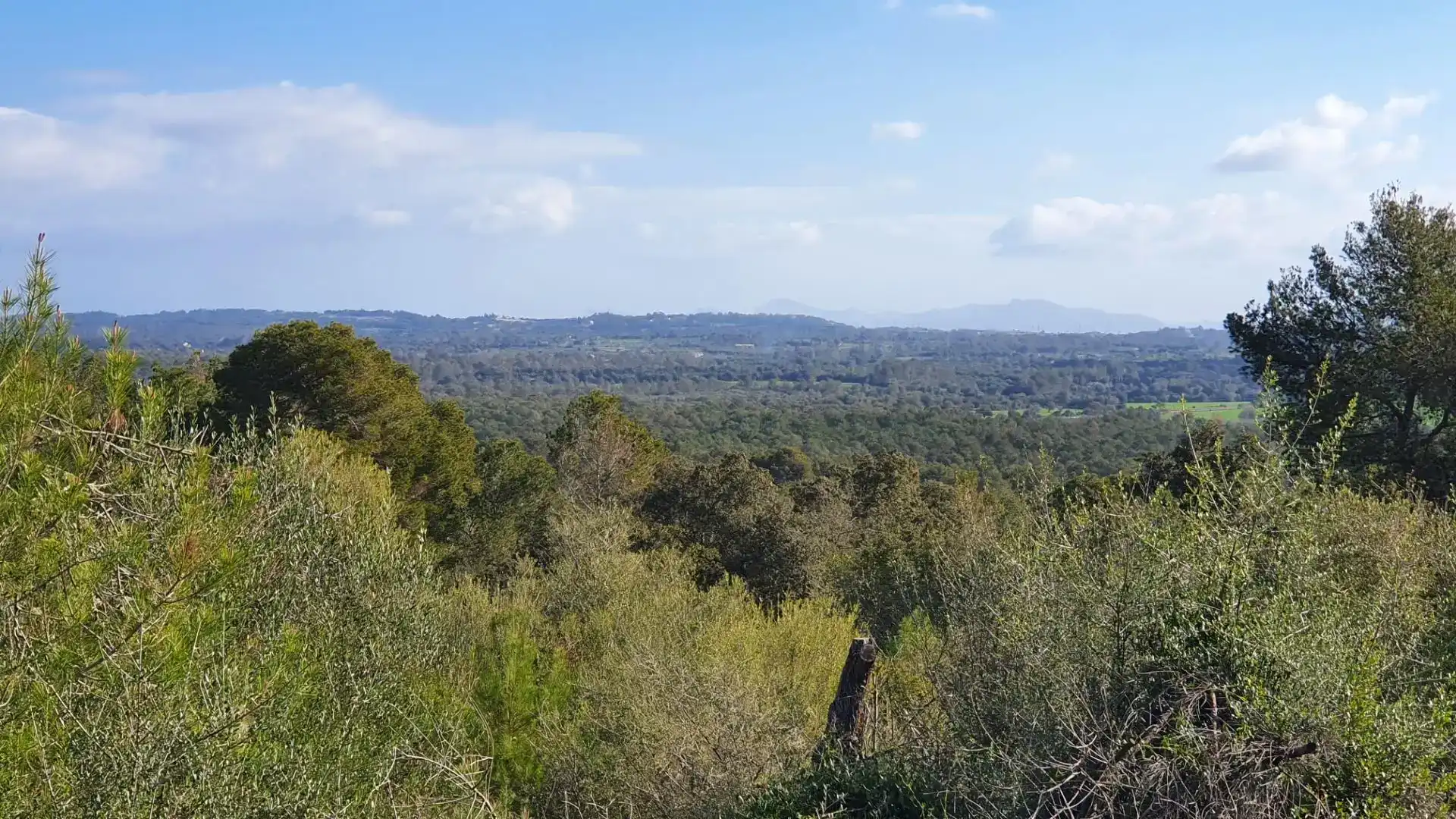 Terreny en venda en Costitx