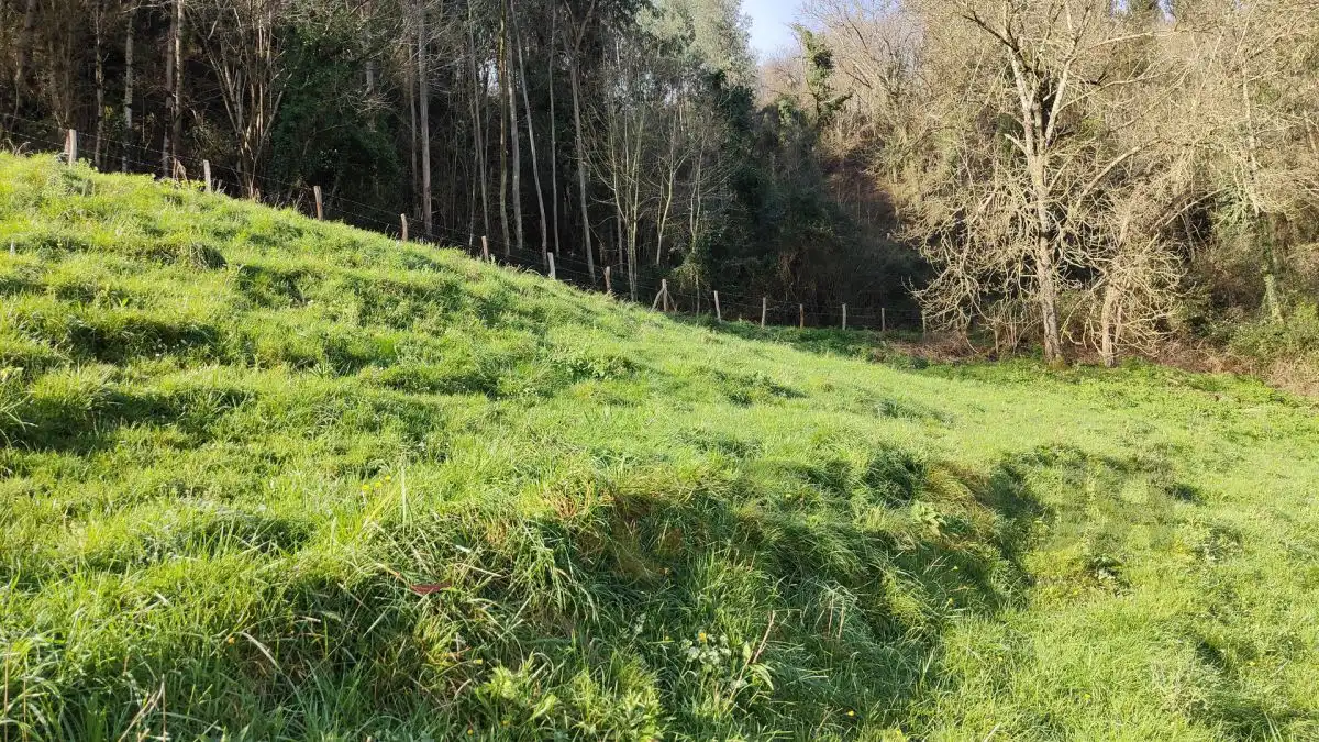 Terreni e lotti in vendita a Villegar, imagen 17
