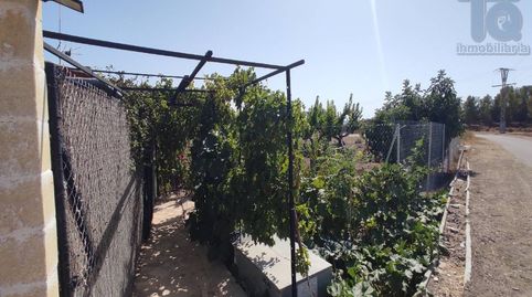 Foto 3 de Finca rústica en venta en Pasaje Balsa Albatana, Albatana, Albacete