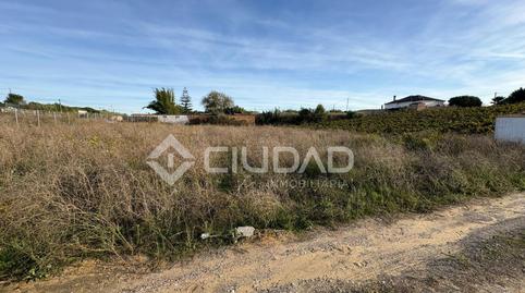 Foto 3 de Terreny en venda a Monteolivete - Camino Sevilla, Cádiz