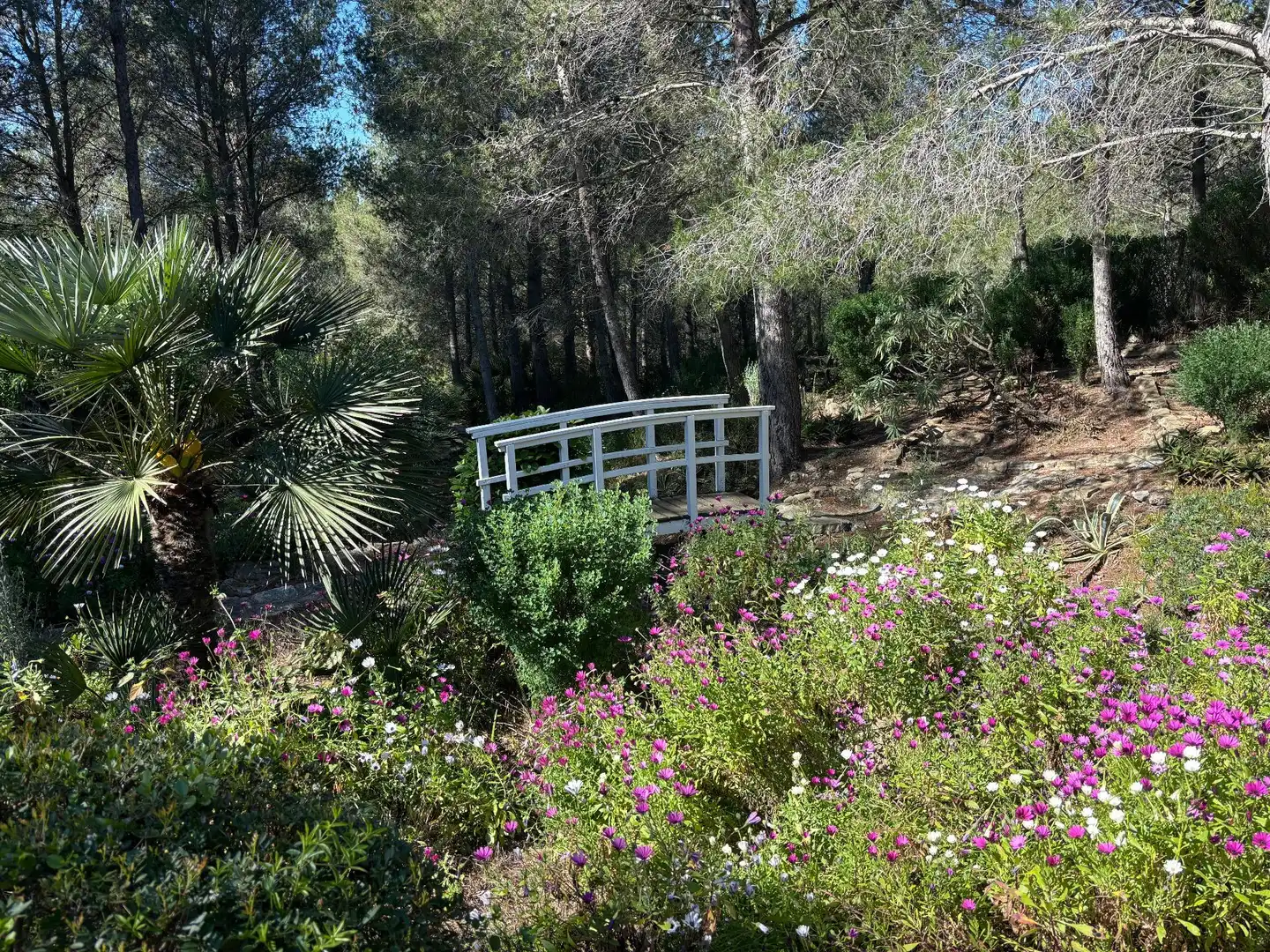 Jardí de Casa o xalet en venda en L'Ametlla de Mar  amb Jardí privat, Terrassa i Traster