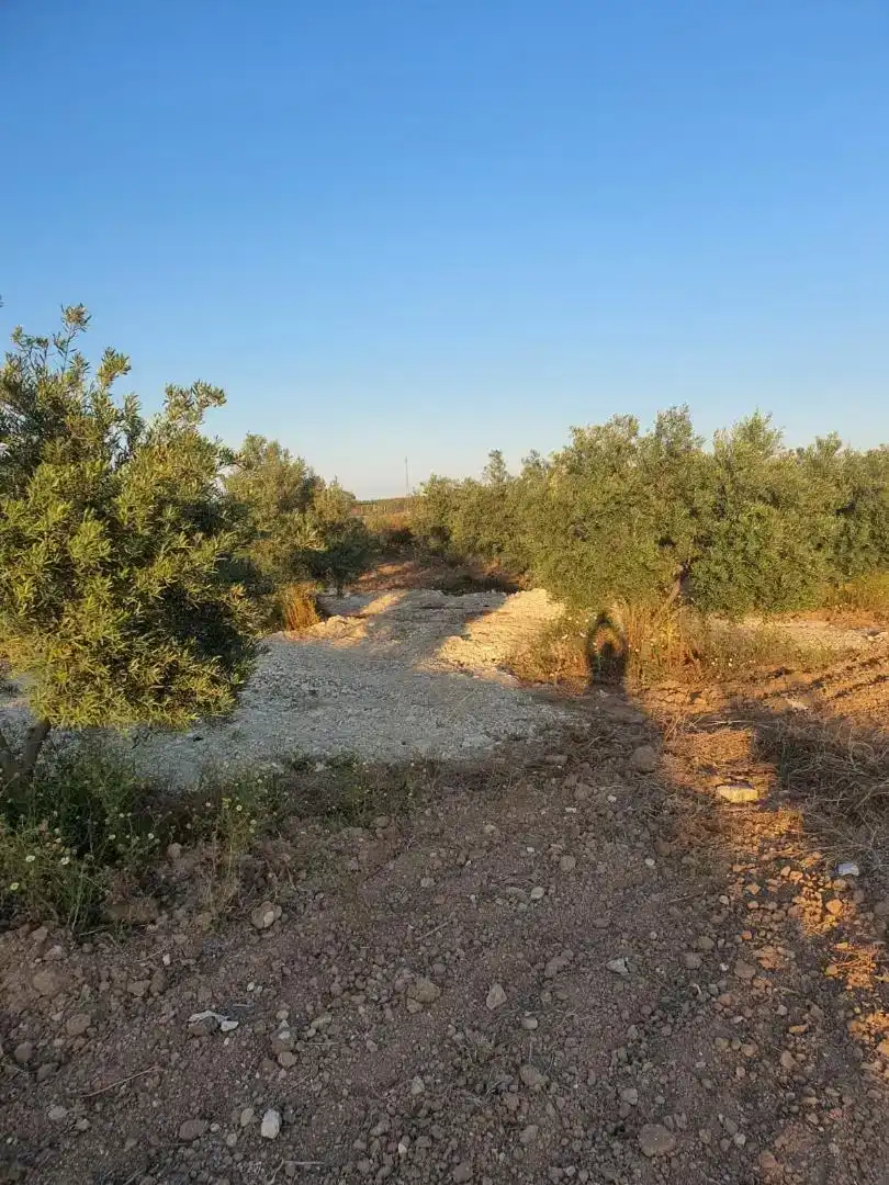 Terreno en venta en Osuna