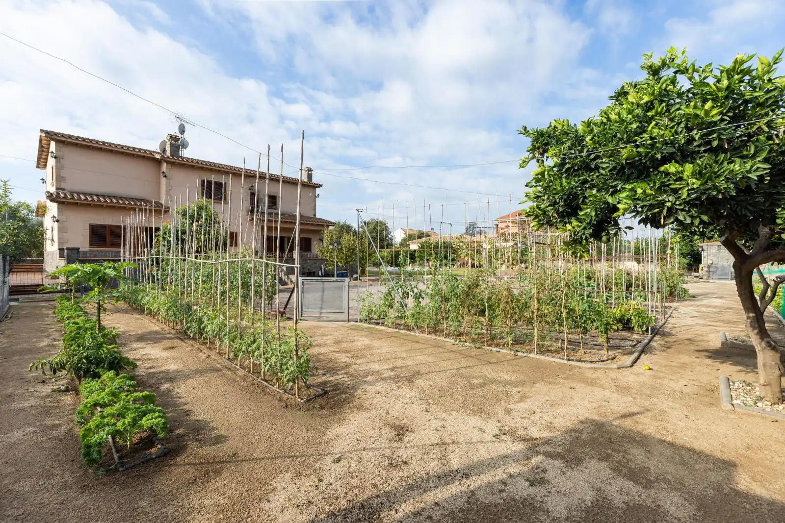 Jardí de Casa o xalet en venda en Mataró amb Terrassa i Piscina