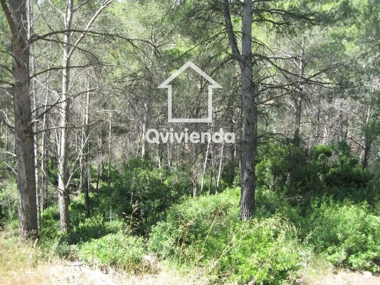 Terreno residencial en venta en Segadors 6, imagen 2