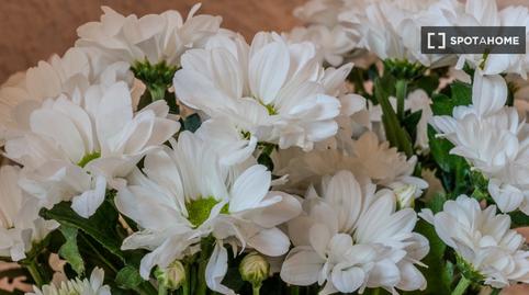 Foto 5 de Estudi per a compartir a L'Antiga Esquerra de l'Eixample, Barcelona