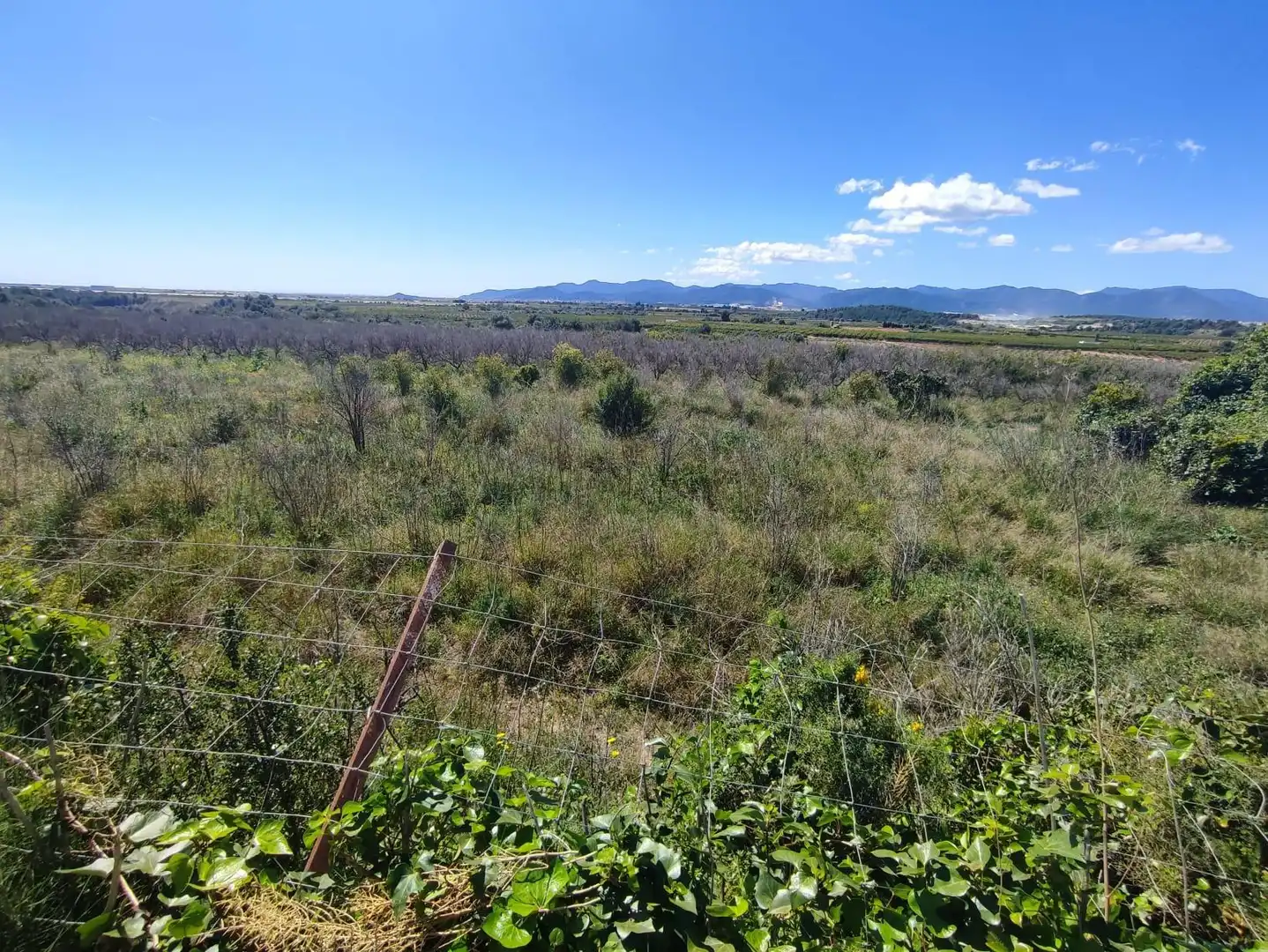 Rural land for sale in Onda, imagen 6