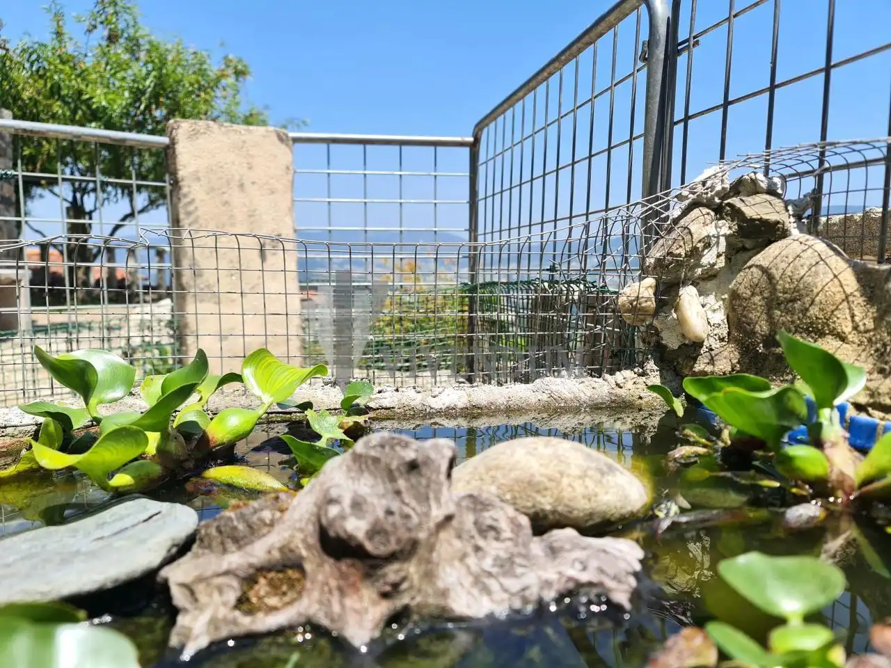Jardín de Casa o chalet en venta en Redondela con Calefacción, Jardín privado y Terraza
