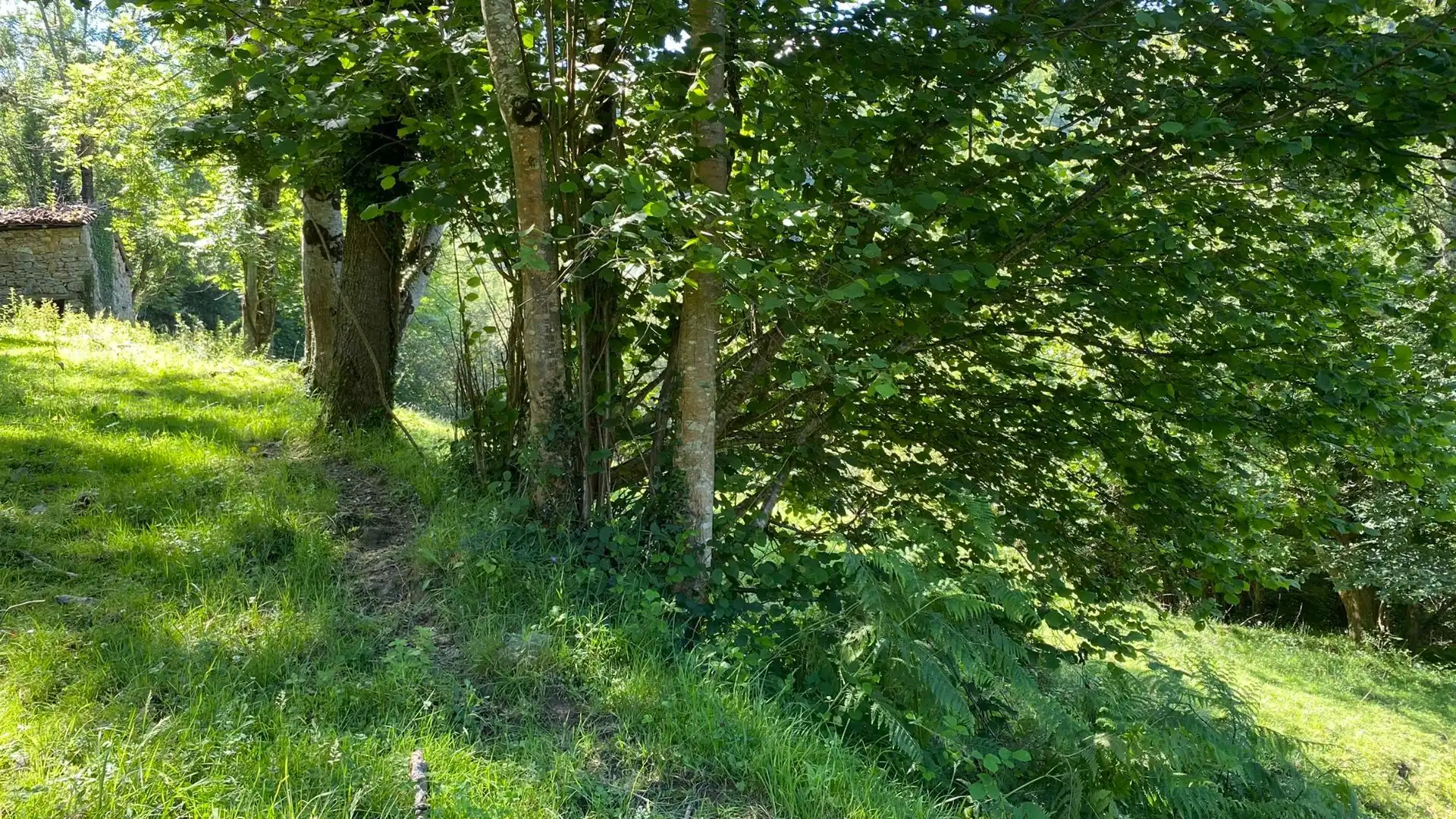 Terreno en venta en PRIESCA, Ponga