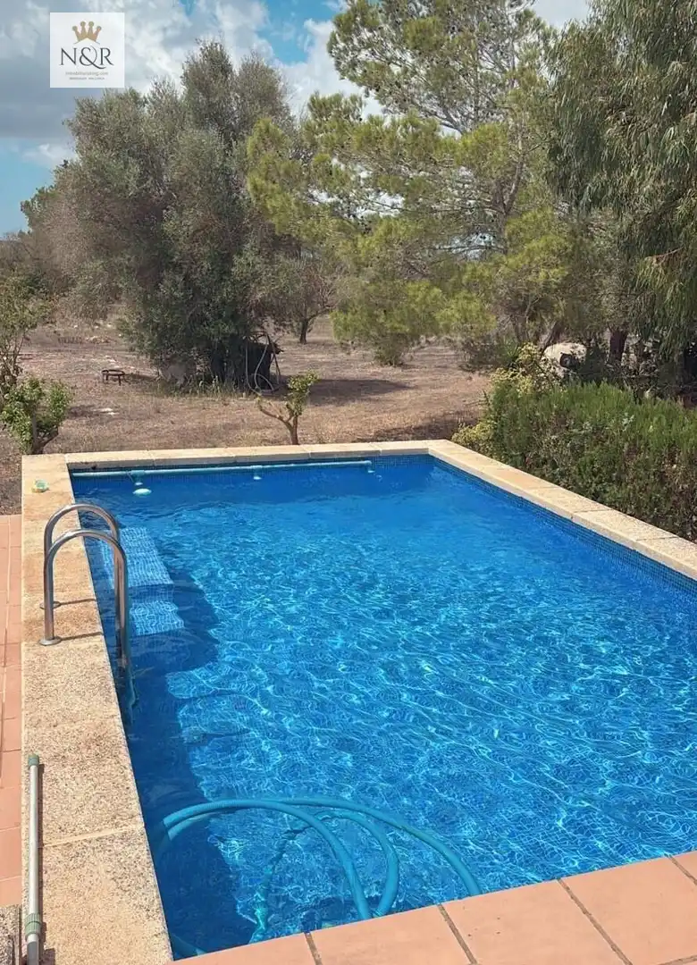 Piscina de Finca rústica en venta en Santa Eugènia con Jardín privado y Trastero