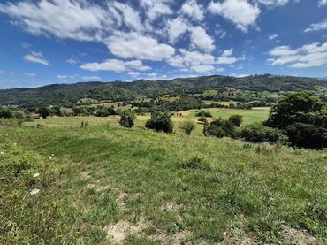 Terrain résidentiel à vendre à Grado