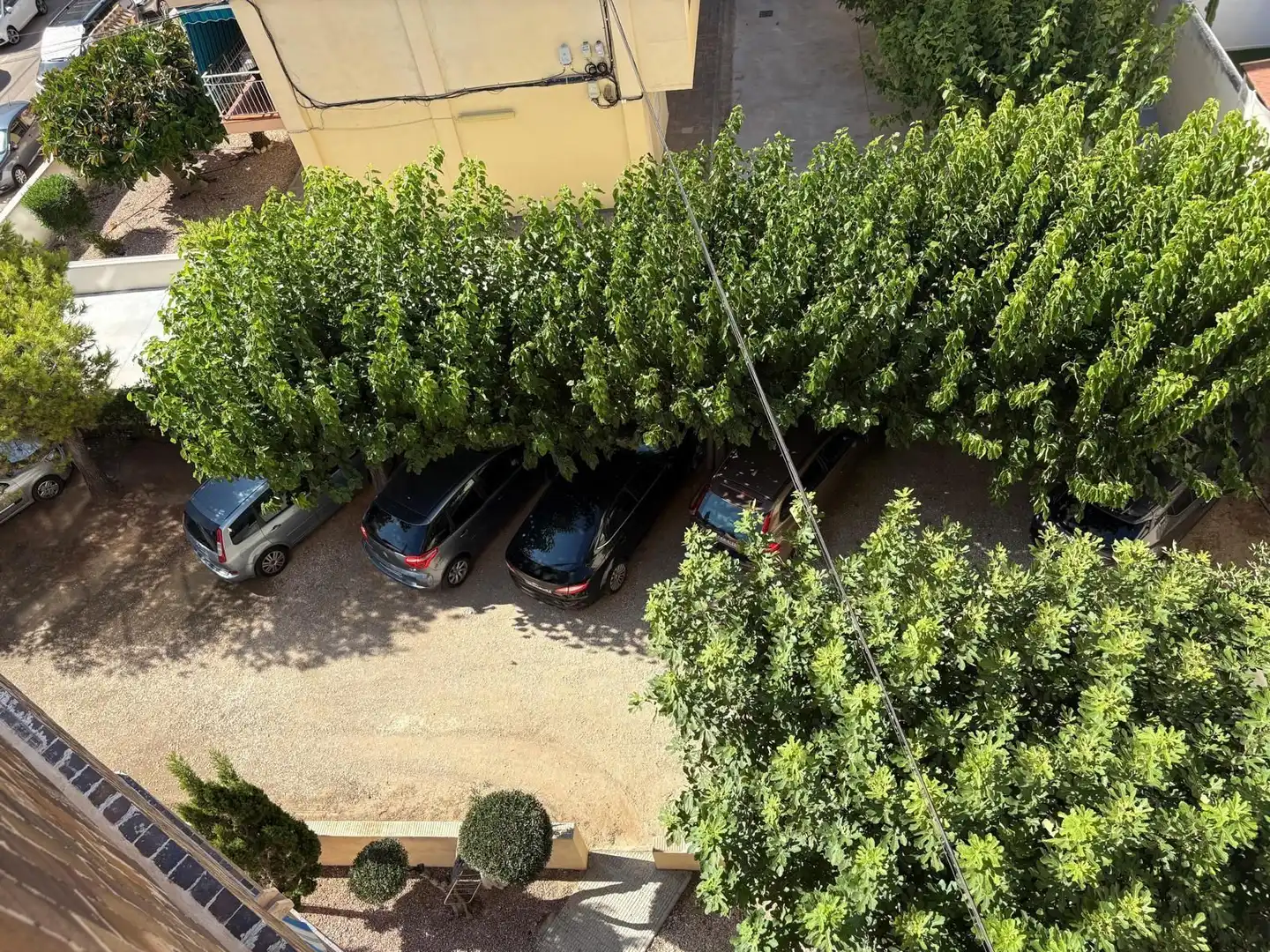 Parking of Apartments for sale in Torrevieja  with Terrace and Furnished