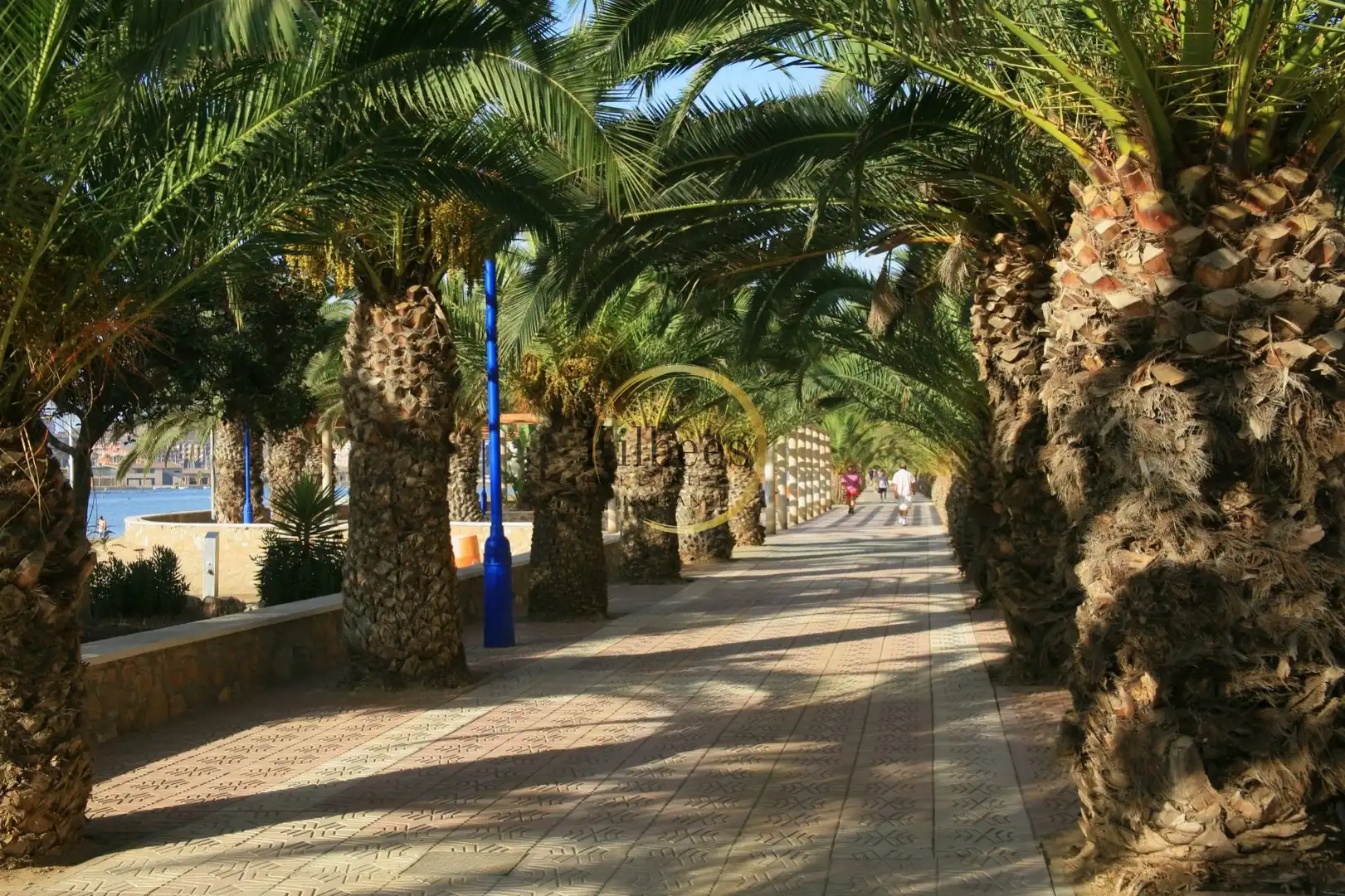 Casa amb terrassa en venda a Puerto de Mazarrón, imagen 24
