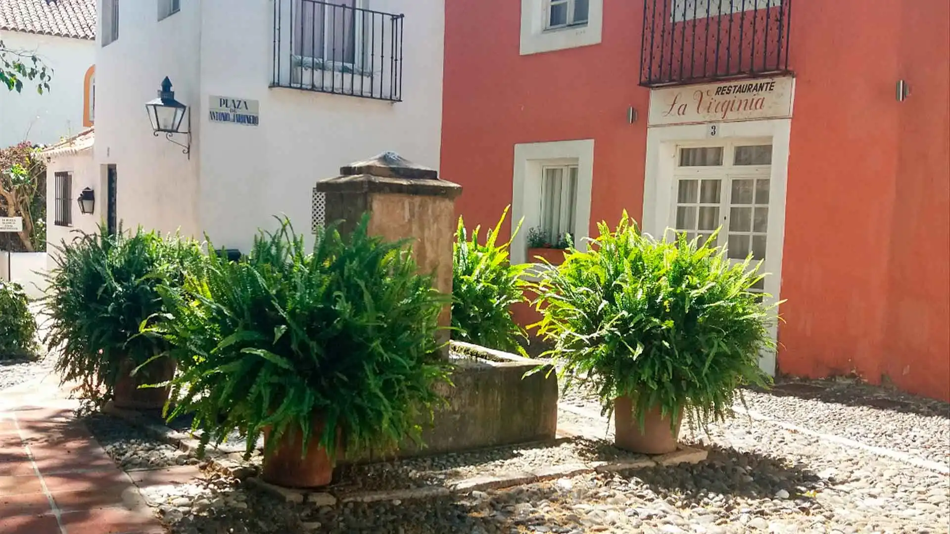 Vista exterior de Local en venta en Marbella