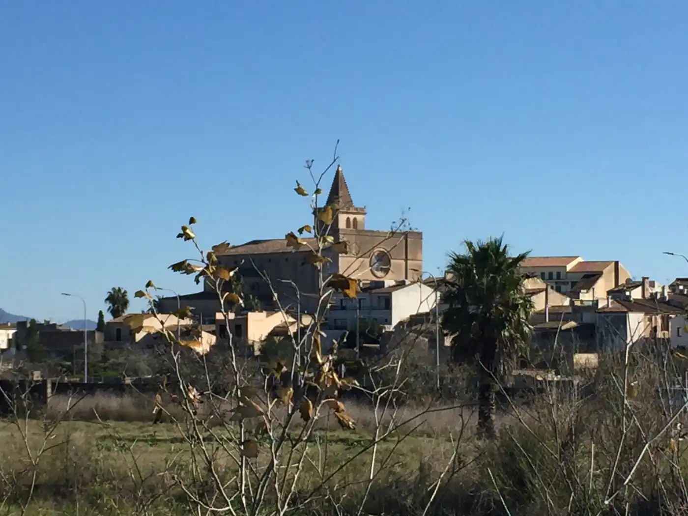 Terrenys i solars en venda a Porreres, imagen 7