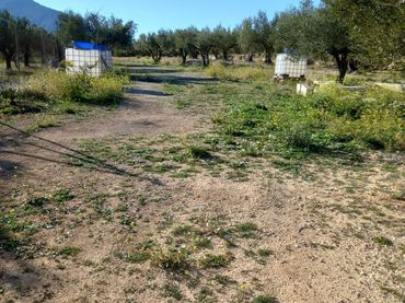 Residential land for sale in Quatretonda
