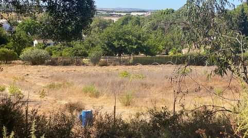 Foto 5 de Finca rústica en venta en Núcleo urbano, Aljaraque
