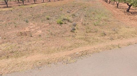 FINCA RUSTICO SECANO EN VILLAFAMES ACCESO POR CAMINO ASFALTADO, immagine 3