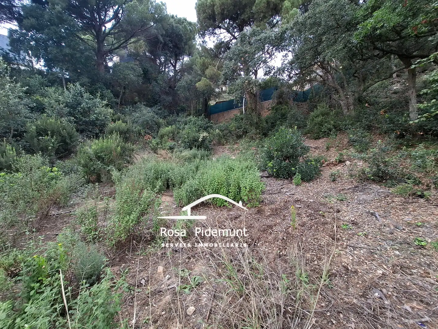 Terreno residencial en venta en Serra Brava, imagen 5