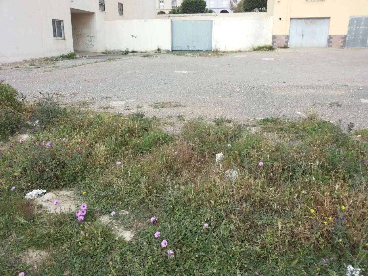 Rural land for sale in La Mojonera, imagen 2