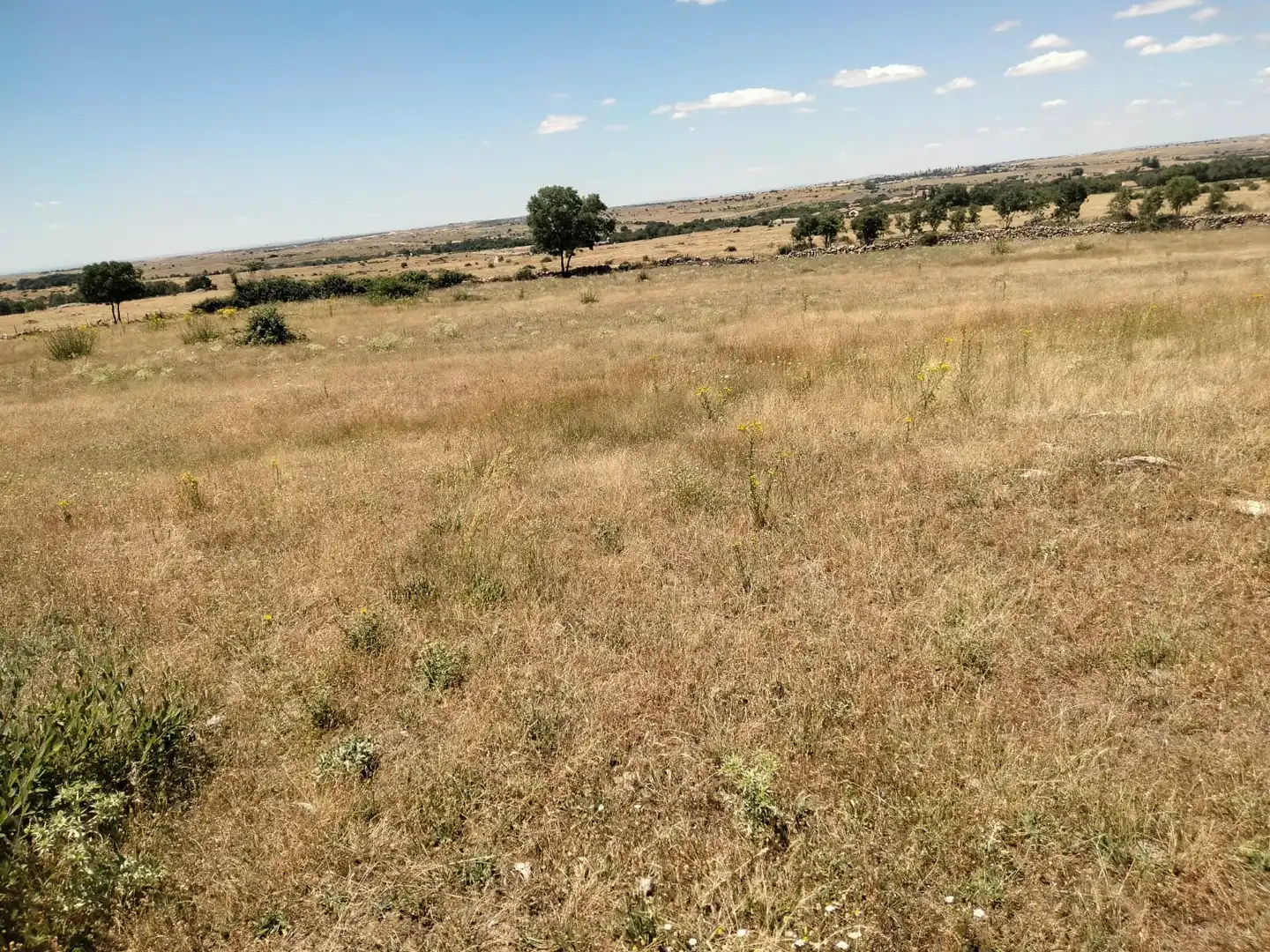 Terreno rustico in vendita a Basardilla, imagen 13