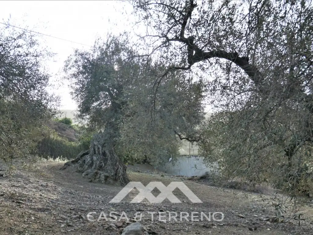 Casa en venta en Alcaucín, imagen 37