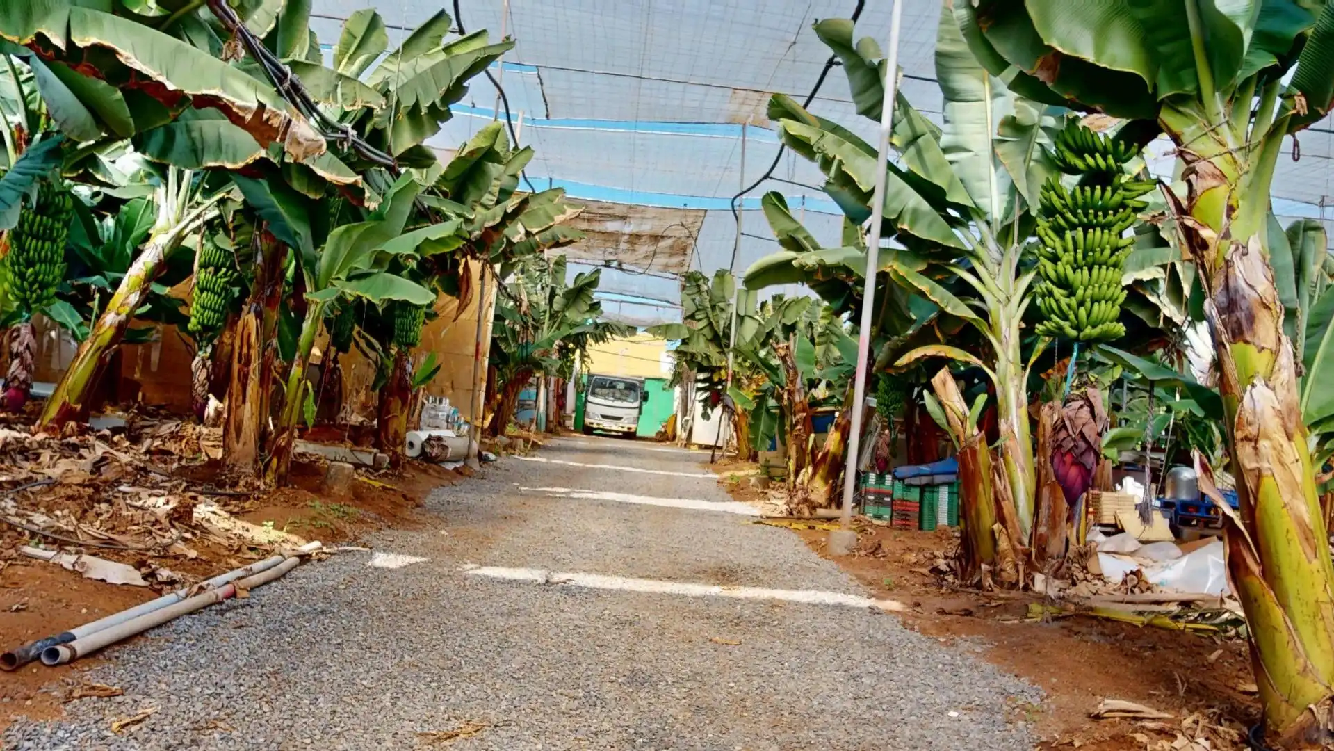 Exterior view of Houses for sale in Gáldar  with Air Conditioner, Private garden and Terrace