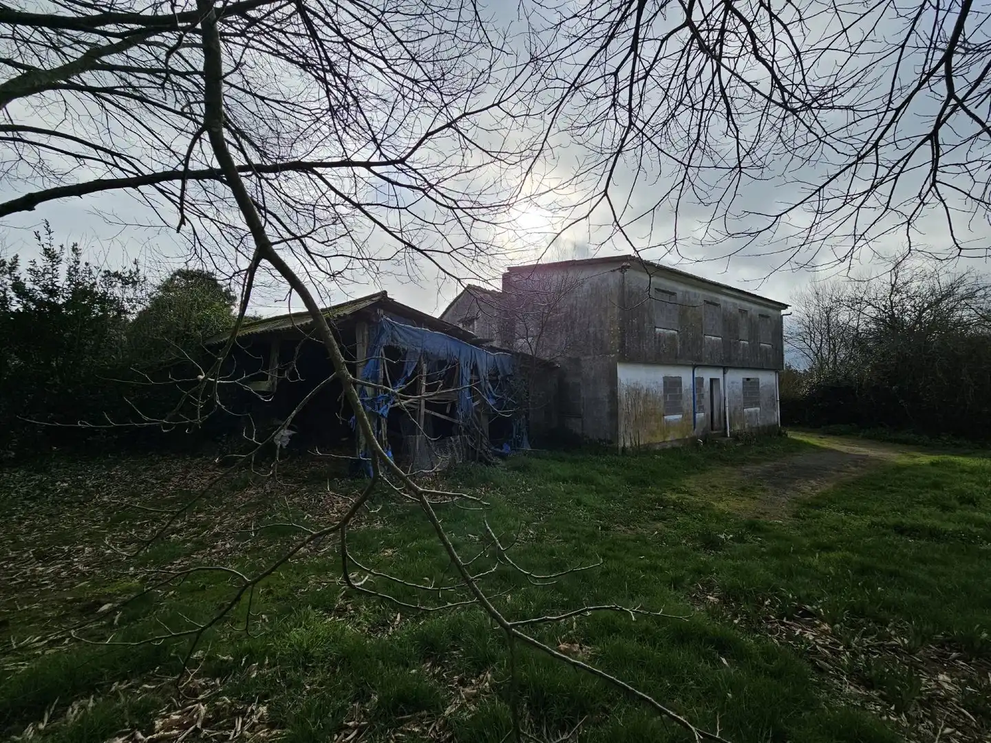 Finca rústica en venta en Abegondo