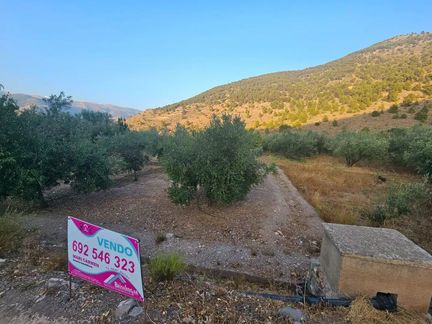 Finca rústica en venda en Fondón