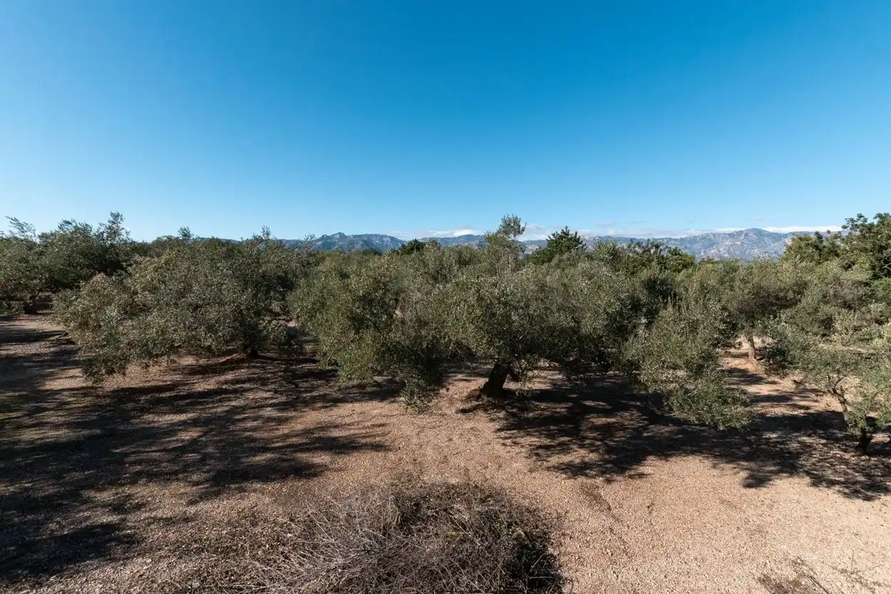 Finca rústica en venda a Carrer Sant Isidre, 38, La Galera