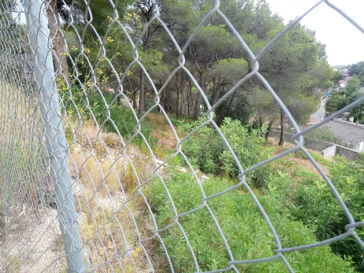 Terreno rustico in vendita a Calle Tulipa, imagen 8