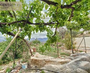 Garden of Single-family semi-detached for sale in Comares