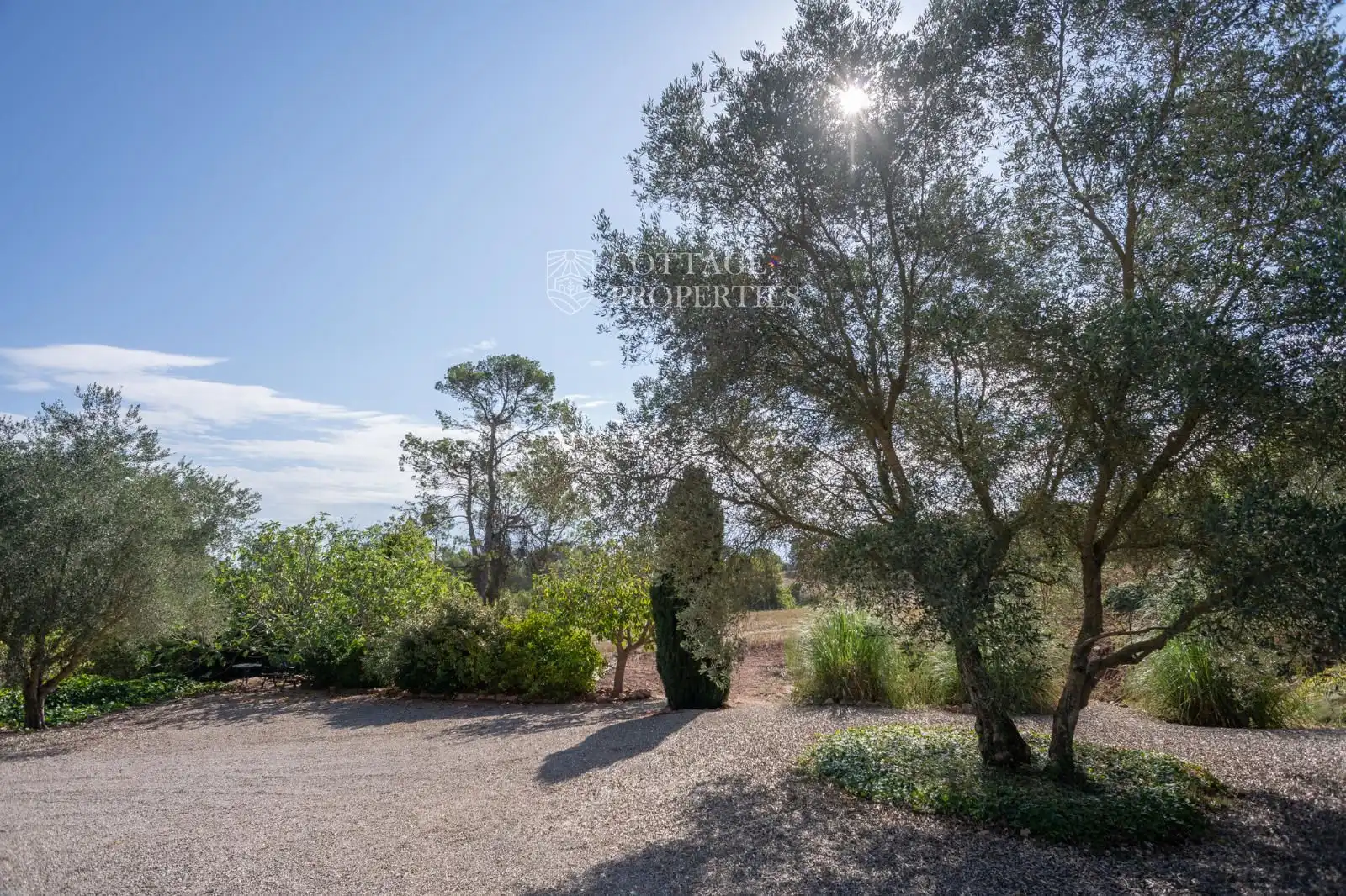 Jardín de Finca rústica en venta en Aguilar de Segarra con Calefacción
