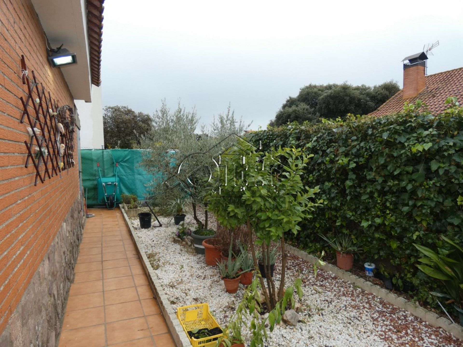 Jardín de Casa o chalet en venta en Pioz con Calefacción, Jardín privado y Piscina comunitaria