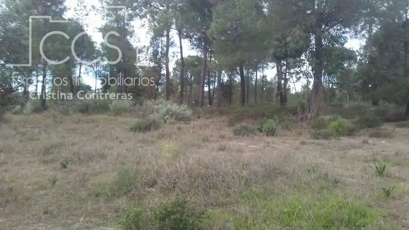 Terreny rústic en venda a Almonte ciudad, imagen 19