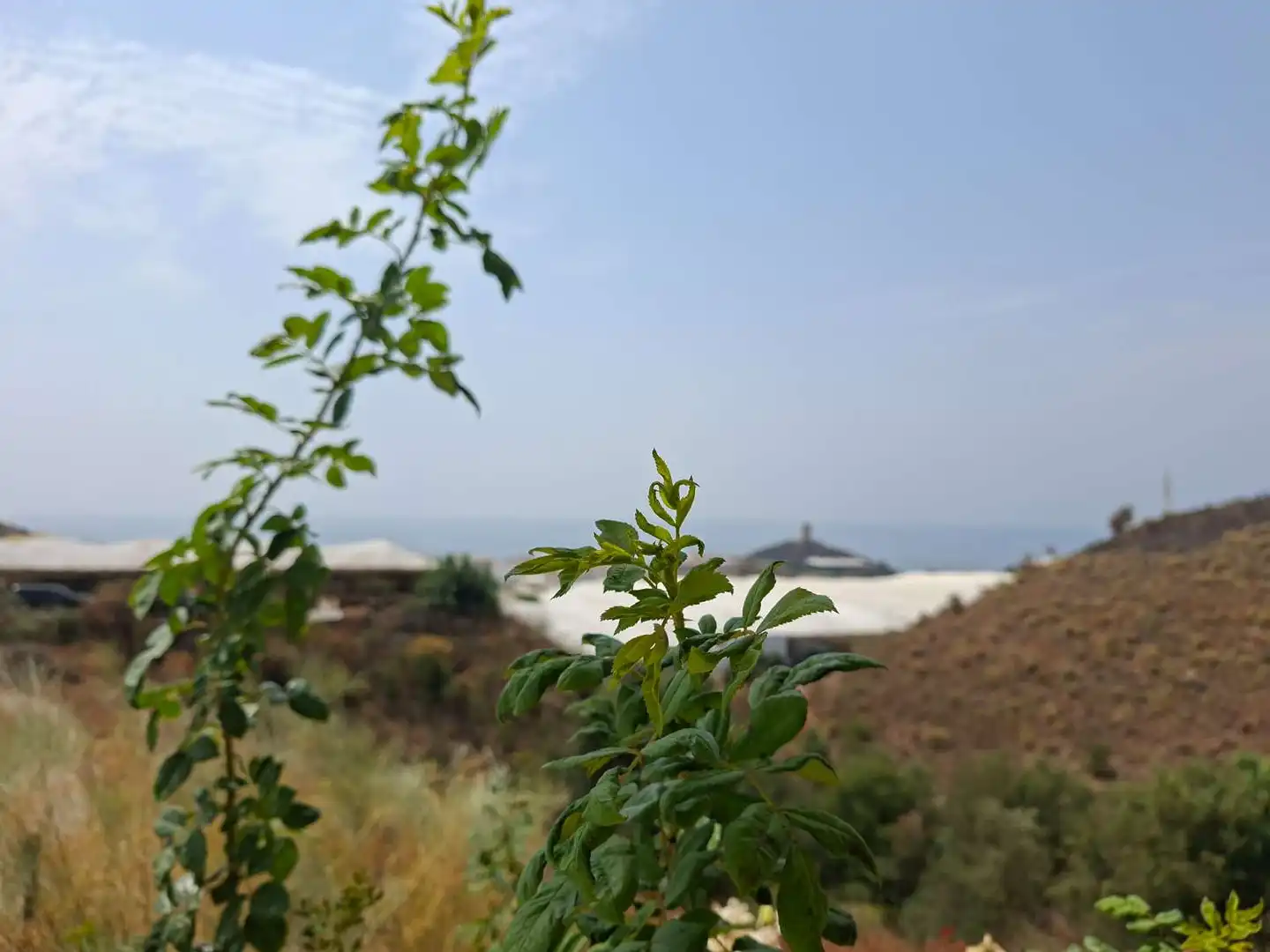Country homes for rent in Torrox  with Terrace and Furnished