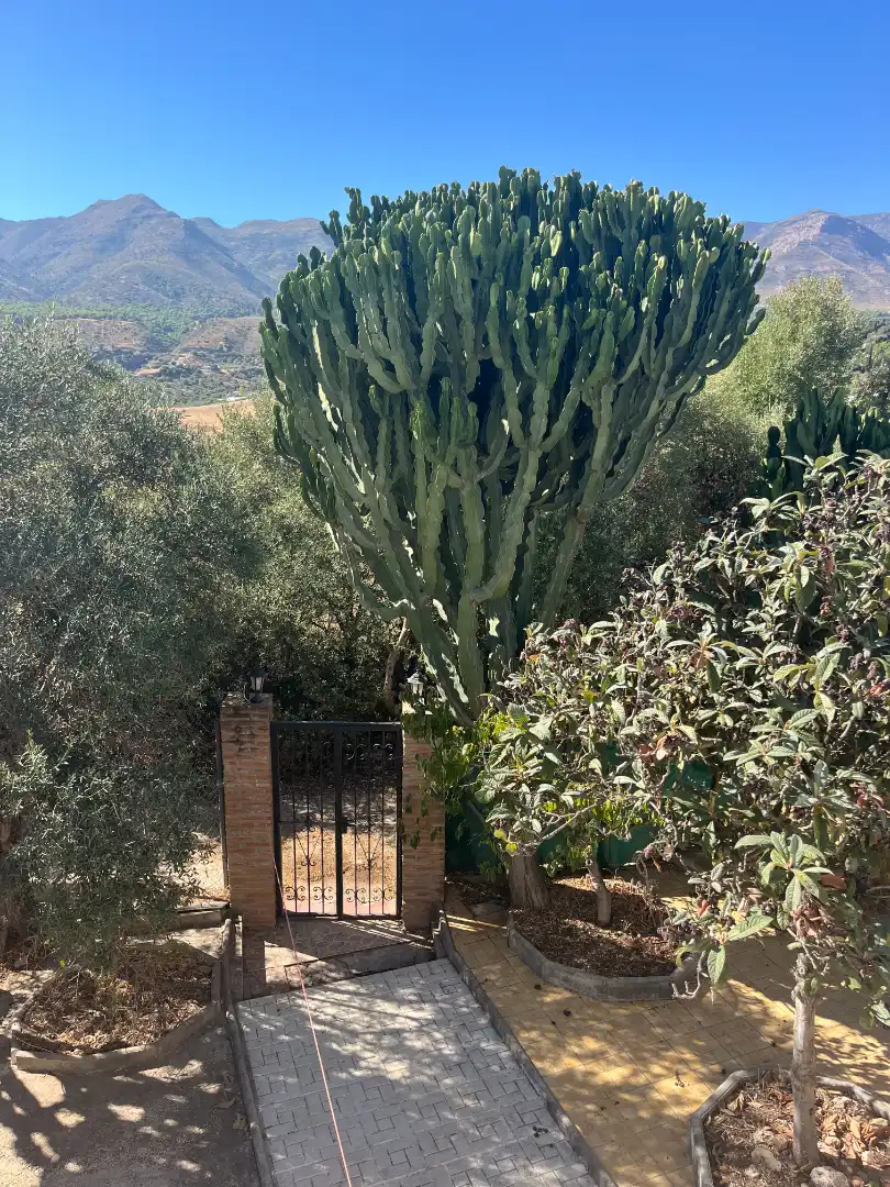 Xalet amb jardí de lloguer a Buenavista - Lauro Golf, imagen 37