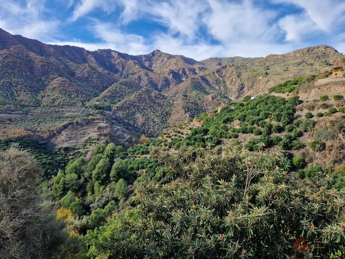 Terreni e lotti in vendita a Los Guájares, imagen 3