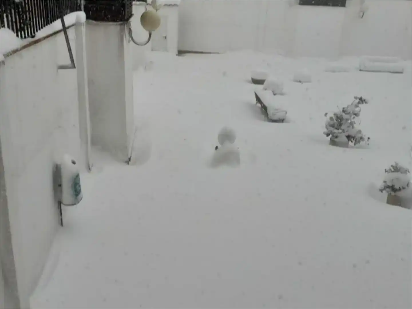 Jardí de Pis en venda en Leganés