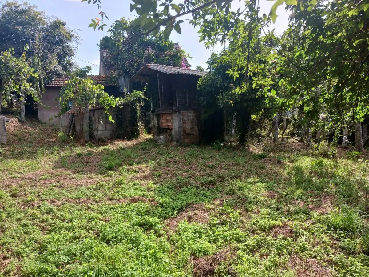 House for sale in San Roque, imagen 15