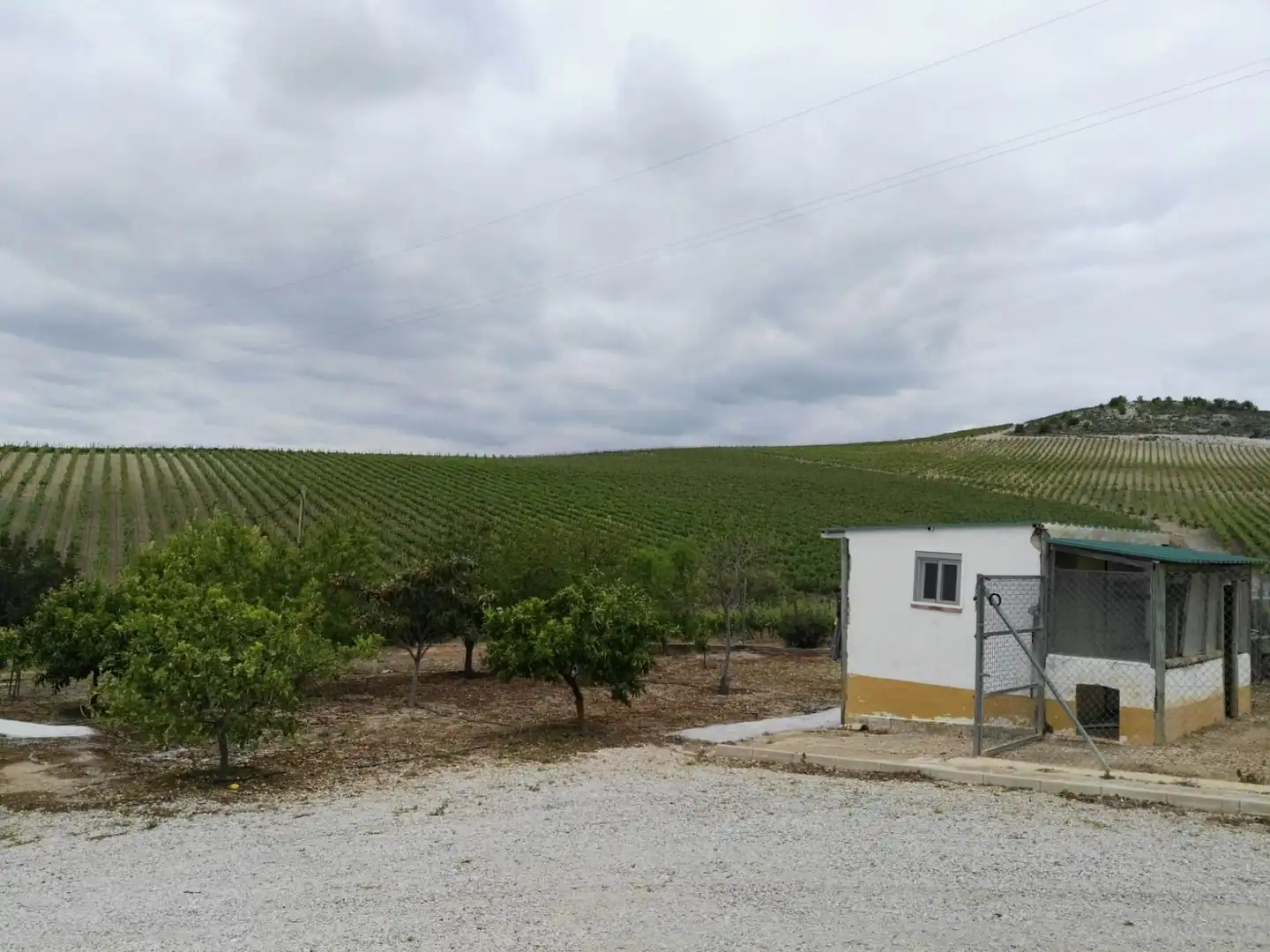 Finca rústica en venda en Arcos de la Frontera amb Jardí privat i Piscina comunitària
