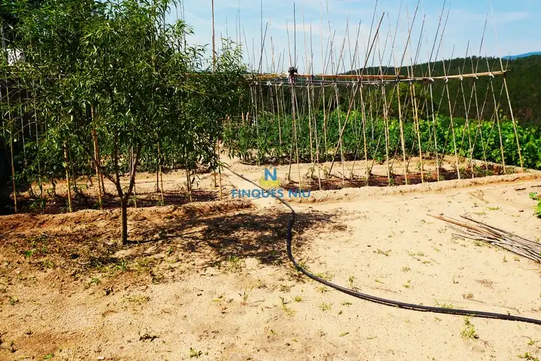 Casa o xalet en venda a Carrer del Roser, Riudarenes