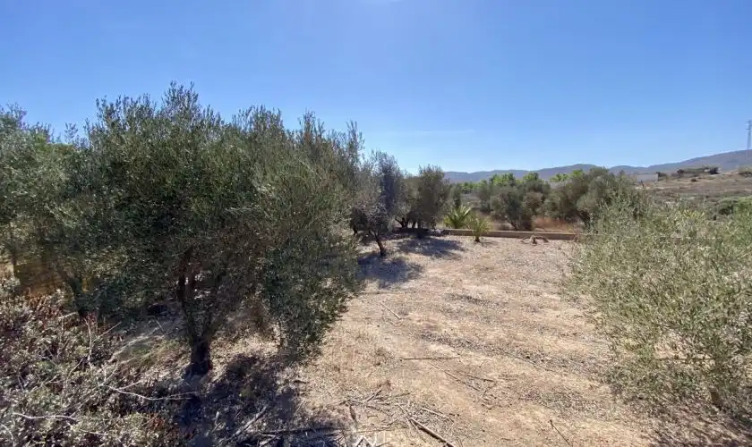 Xalet amb terrassa en venda a Las Negras, imagen 34